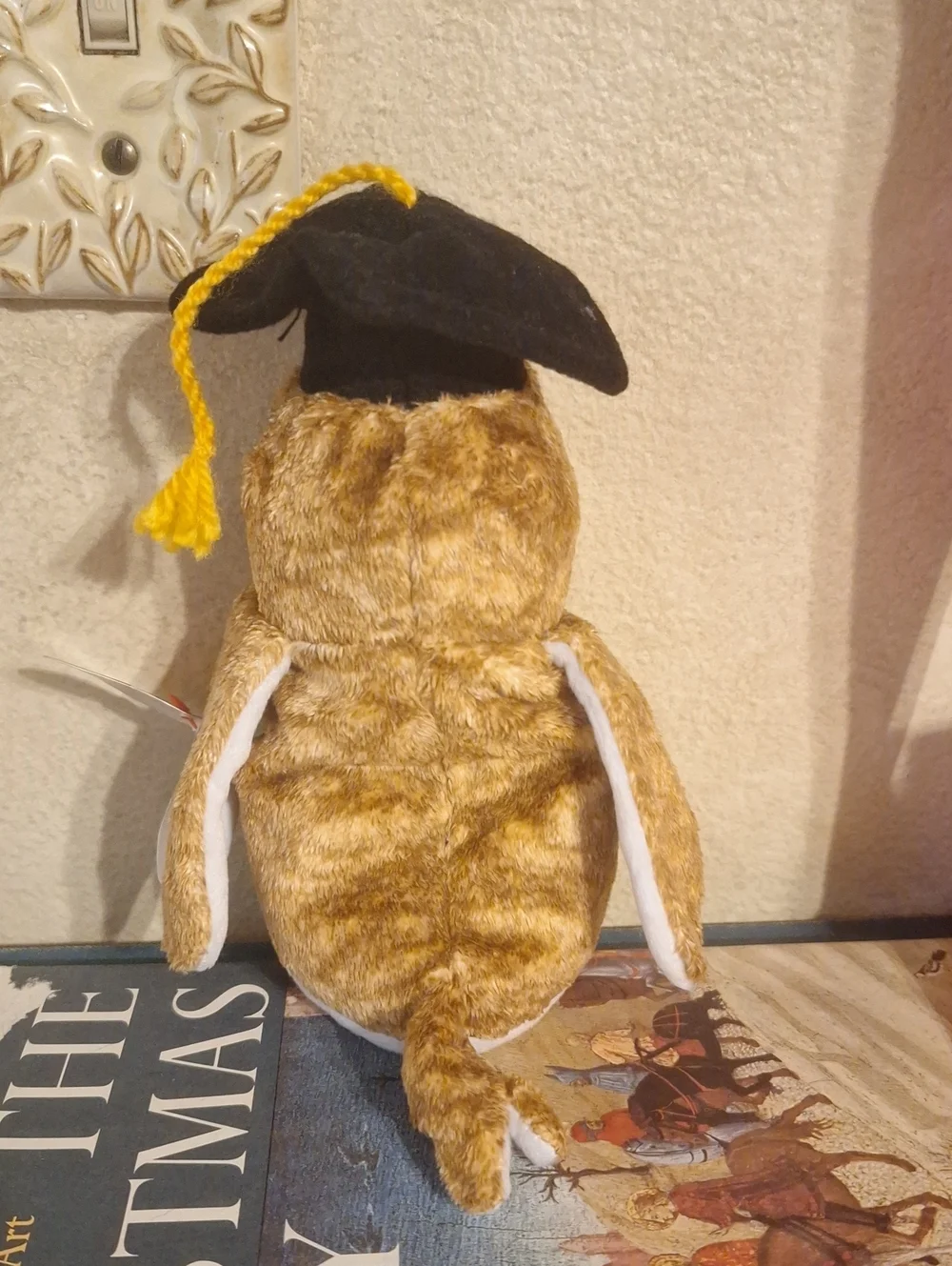 Graduation Owl Plush Toy - Brown & White - Ty Class Of 2000.